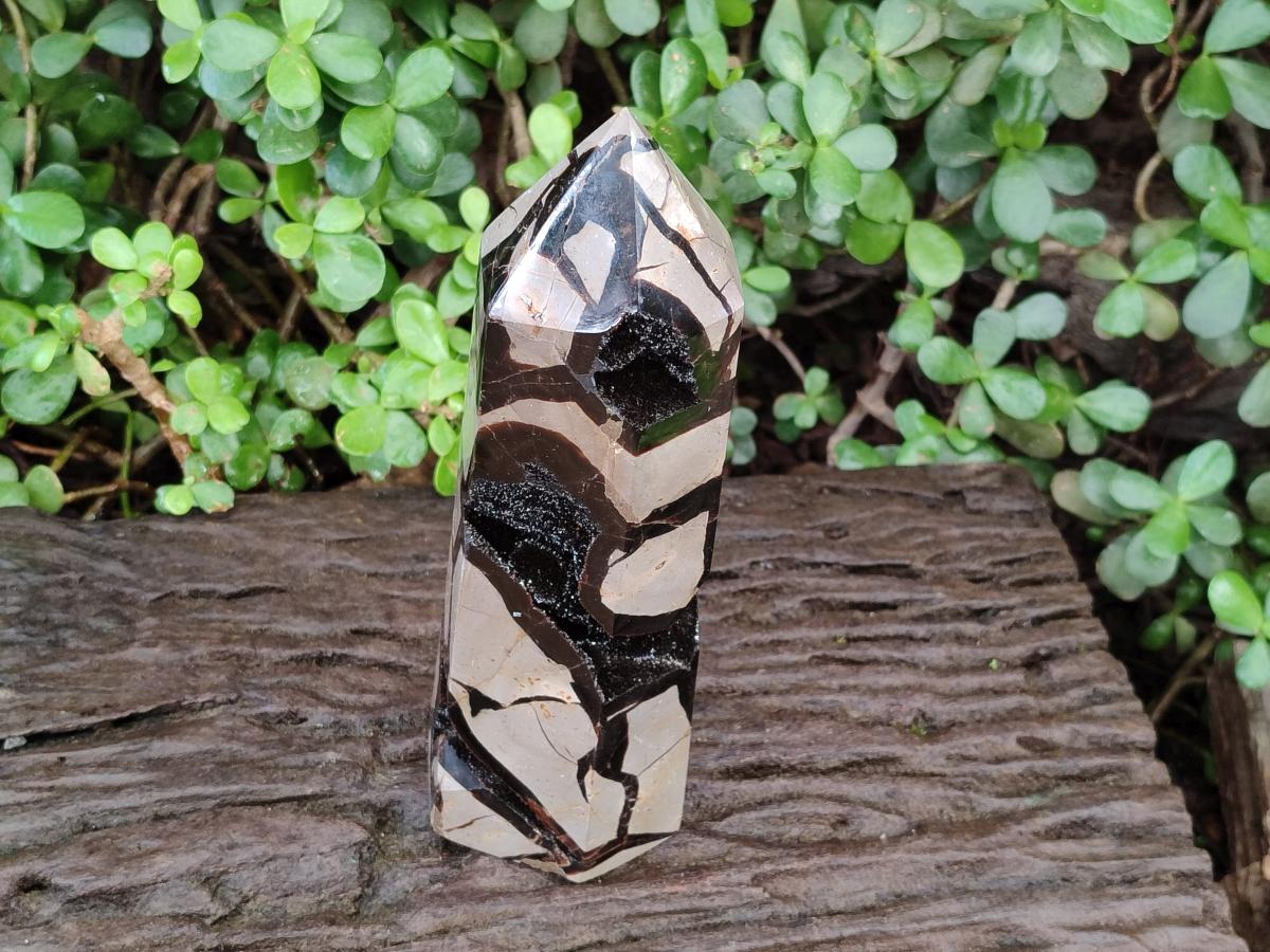 Polished Large Septerye Sauvage Display Crystal x 1 From Mahajanga, Madagascar - Toprock Gemstones and Minerals 