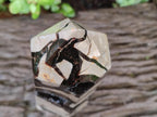 Polished Large Septerye Sauvage Display Crystal x 1 From Mahajanga, Madagascar - Toprock Gemstones and Minerals 