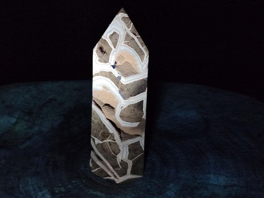 Polished Large Septerye Sauvage Display Crystal x 1 From Mahajanga, Madagascar - Toprock Gemstones and Minerals 