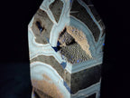 Polished Large Septerye Sauvage Display Crystal x 1 From Mahajanga, Madagascar - Toprock Gemstones and Minerals 
