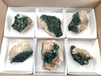 Natural Crystalline Malachite Specimens x 6 From Tenke Fungurume, Congo - Toprock Gemstones and Minerals 
