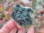 Natural Crystalline Malachite Specimens x 6 From Tenke Fungurume, Congo - Toprock Gemstones and Minerals 