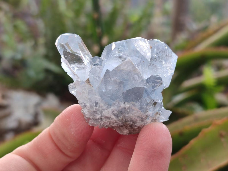 Natural Blue Celestite Specimens x 12 From Sakoany, Madagascar - Toprock Gemstones and Minerals 