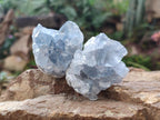 Natural Blue Celestite Specimens x 12 From Sakoany, Madagascar - Toprock Gemstones and Minerals 