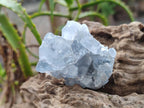 Natural Blue Celestite Specimens x 12 From Sakoany, Madagascar - Toprock Gemstones and Minerals 