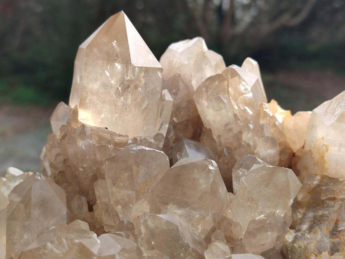 Natural XL Clear Champagne Citrine Quartz Crystal Cluster x 1 From Luena, Congo - Toprock Gemstones and Minerals 