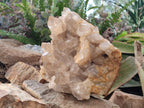 Natural XL Clear Champagne Citrine Quartz Crystal Cluster x 1 From Luena, Congo - Toprock Gemstones and Minerals 