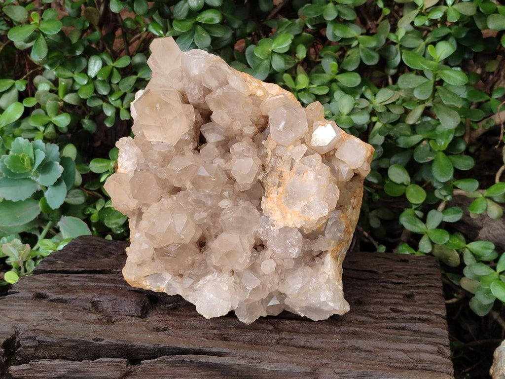 Natural XL Clear Champagne Citrine Quartz Crystal Cluster x 1 From Luena, Congo - Toprock Gemstones and Minerals 