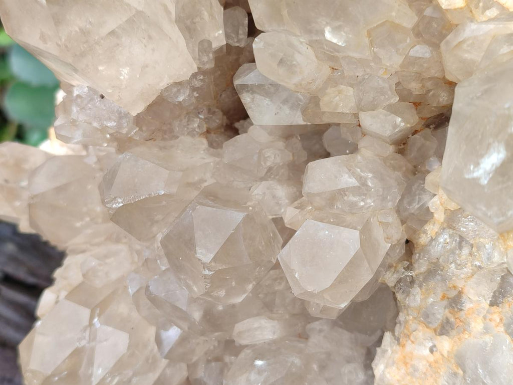 Natural XL Clear Champagne Citrine Quartz Crystal Cluster x 1 From Luena, Congo - Toprock Gemstones and Minerals 