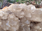 Natural XL Clear Champagne Citrine Quartz Crystal Cluster x 1 From Luena, Congo - Toprock Gemstones and Minerals 