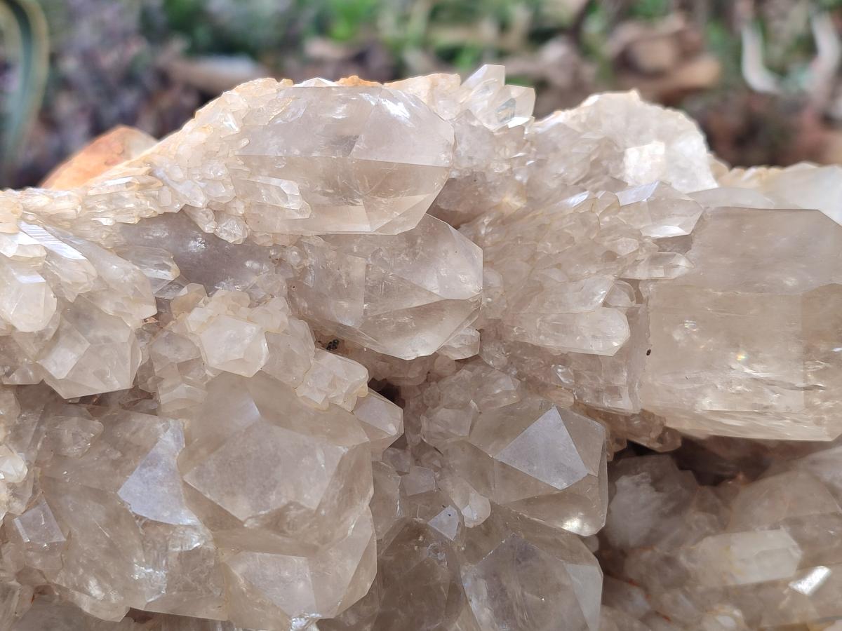 Natural XL Clear Champagne Citrine Quartz Crystal Cluster x 1 From Luena, Congo - Toprock Gemstones and Minerals 