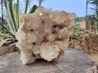 Natural XL Clear Champagne Citrine Quartz Crystal Cluster x 1 From Luena, Congo - Toprock Gemstones and Minerals 