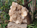 Natural XL Clear Champagne Citrine Quartz Crystal Cluster x 1 From Luena, Congo - Toprock Gemstones and Minerals 