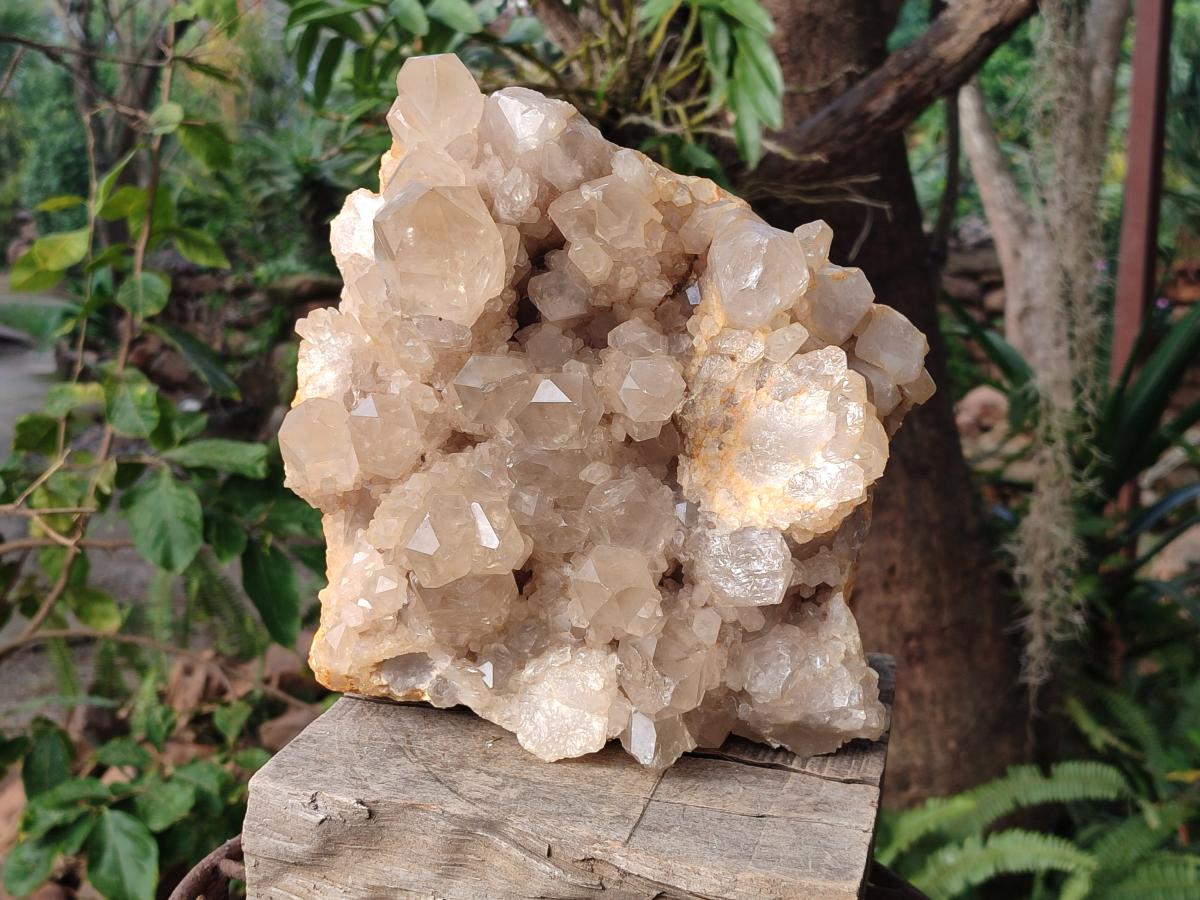 Natural XL Clear Champagne Citrine Quartz Crystal Cluster x 1 From Luena, Congo - Toprock Gemstones and Minerals 