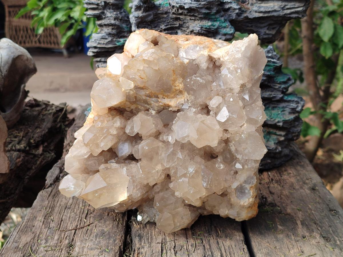 Natural XL Clear Champagne Citrine Quartz Crystal Cluster x 1 From Luena, Congo - Toprock Gemstones and Minerals 