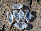 Polished Rock Crystal Quartz "Angel Tears" Free Forms x 35 From Madagascar - Toprock Gemstones and Minerals 