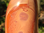 Polished Polychrome Jasper Standing Display Pieces x 2 From NW Coast, Madagascar - Toprock Gemstones and Minerals 