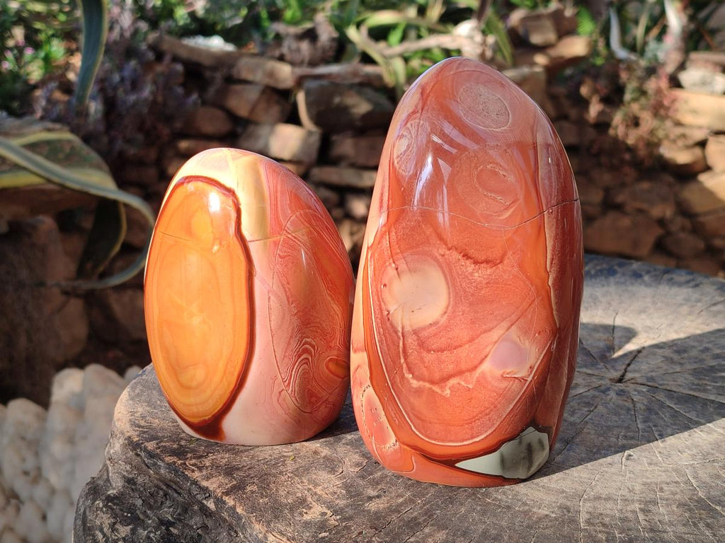 Polished Polychrome Jasper Standing Display Pieces x 2 From NW Coast, Madagascar - Toprock Gemstones and Minerals 