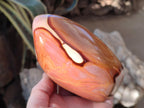 Polished Polychrome Jasper Standing Display Pieces x 2 From NW Coast, Madagascar - Toprock Gemstones and Minerals 