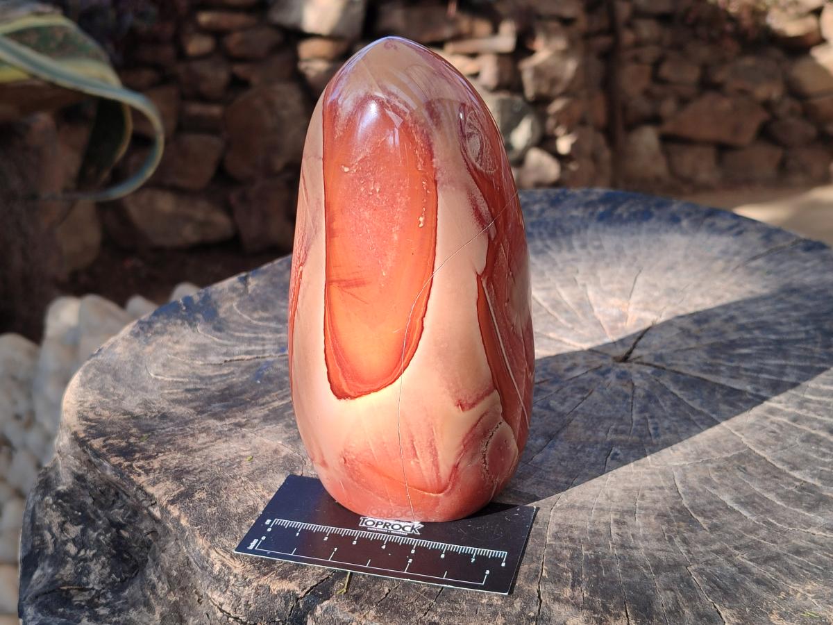 Polished Polychrome Jasper Standing Display Pieces x 2 From NW Coast, Madagascar - Toprock Gemstones and Minerals 