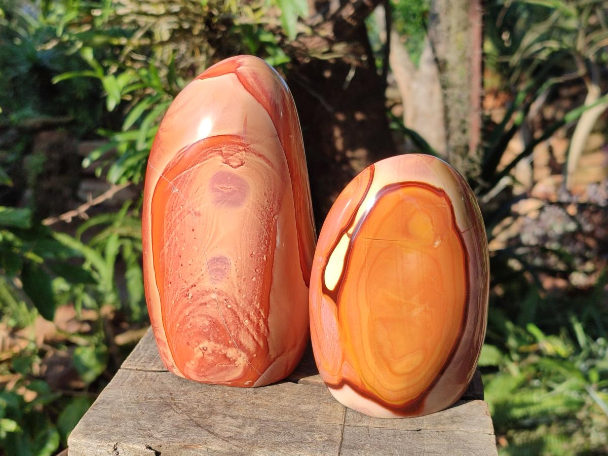 Polished Polychrome Jasper Standing Display Pieces x 2 From NW Coast, Madagascar - Toprock Gemstones and Minerals 