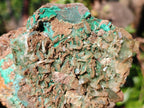 Natural Large Rare Bladed Barite with Malachite Specimens x 2 From Shangulowé Mine, Congo - Toprock Gemstones and Minerals 