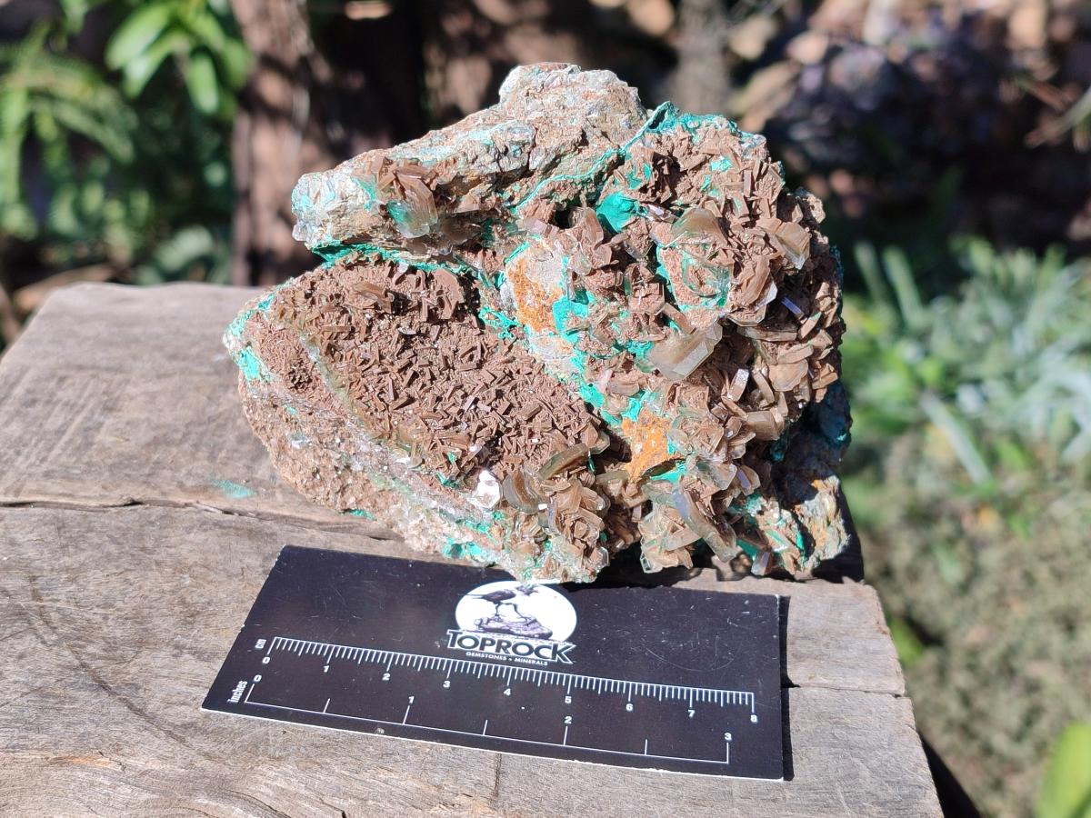 Natural Large Rare Bladed Barite with Malachite Specimens x 2 From Shangulowé Mine, Congo - Toprock Gemstones and Minerals 