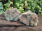 Natural Large Rare Bladed Barite with Malachite Specimens x 2 From Shangulowé Mine, Congo - Toprock Gemstones and Minerals 