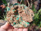 Natural Large Rare Bladed Barite with Malachite Specimens x 2 From Shangulowé Mine, Congo - Toprock Gemstones and Minerals 