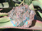 Natural Large Rare Bladed Barite with Malachite Specimens x 2 From Shangulowé Mine, Congo - Toprock Gemstones and Minerals 