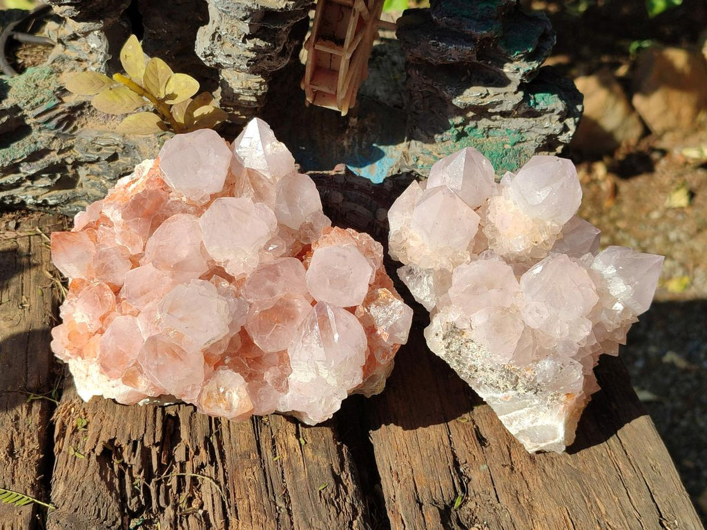 Natural Pale Lilac Spirit Amethyst Cluster with Cactus Flower Formations x 2 From Boekenhouthoek, South Africa - Toprock Gemstones and Minerals 