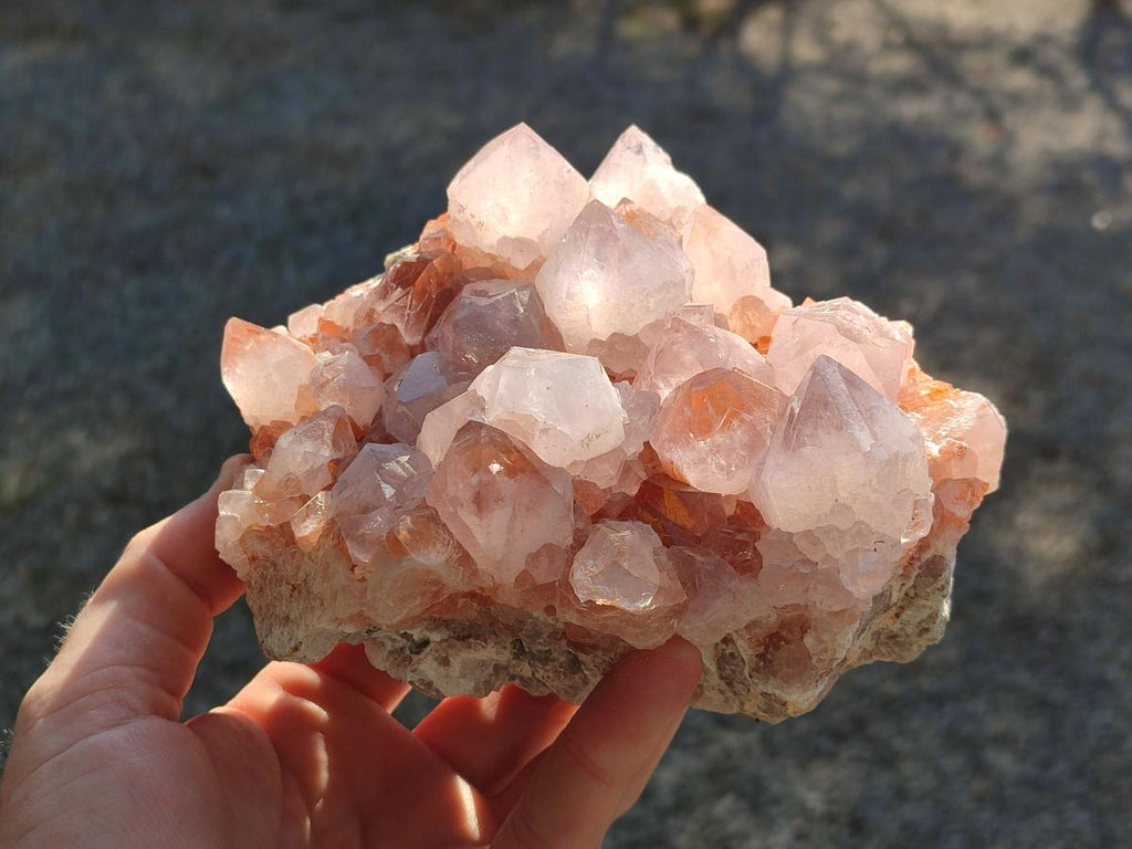 Natural Pale Lilac Spirit Amethyst Cluster with Cactus Flower Formations x 2 From Boekenhouthoek, South Africa - Toprock Gemstones and Minerals 