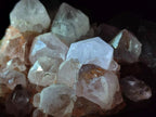 Natural Pale Lilac Spirit Amethyst Cluster with Cactus Flower Formations x 2 From Boekenhouthoek, South Africa - Toprock Gemstones and Minerals 