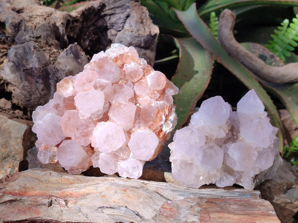Natural Pale Lilac Spirit Amethyst Cluster with Cactus Flower Formations x 2 From Boekenhouthoek, South Africa - Toprock Gemstones and Minerals 