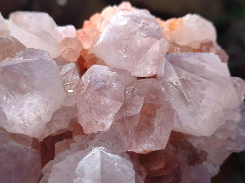 Natural Pale Lilac Spirit Amethyst Cluster with Cactus Flower Formations x 2 From Boekenhouthoek, South Africa - Toprock Gemstones and Minerals 