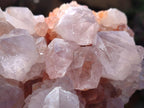 Natural Pale Lilac Spirit Amethyst Cluster with Cactus Flower Formations x 2 From Boekenhouthoek, South Africa - Toprock Gemstones and Minerals 