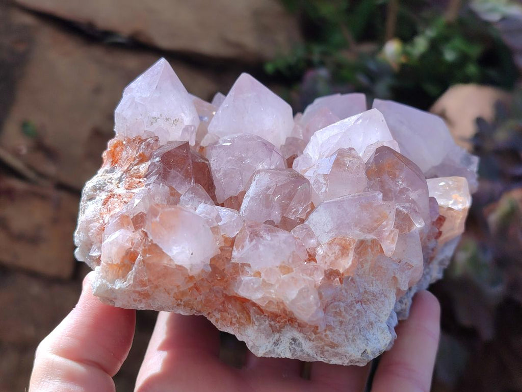 Natural Pale Lilac Spirit Amethyst Cluster with Cactus Flower Formations x 2 From Boekenhouthoek, South Africa - Toprock Gemstones and Minerals 
