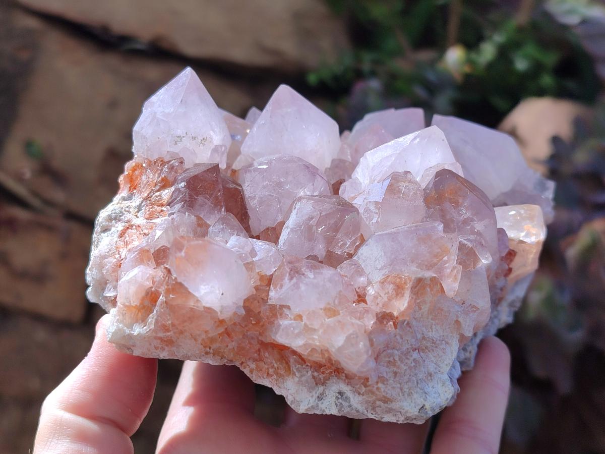 Natural Pale Lilac Spirit Amethyst Cluster with Cactus Flower Formations x 2 From Boekenhouthoek, South Africa - Toprock Gemstones and Minerals 