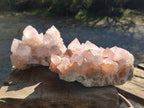 Natural Pale Lilac Spirit Amethyst Cluster with Cactus Flower Formations x 2 From Boekenhouthoek, South Africa - Toprock Gemstones and Minerals 