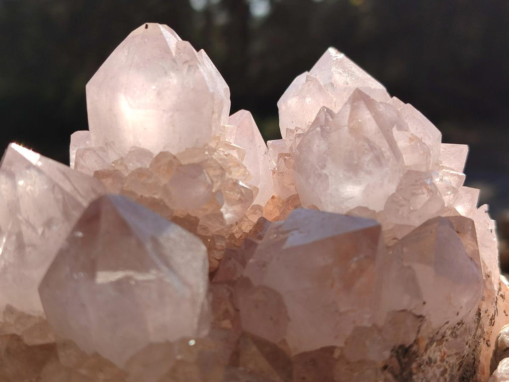 Natural Pale Lilac Spirit Amethyst Cluster with Cactus Flower Formations x 2 From Boekenhouthoek, South Africa - Toprock Gemstones and Minerals 