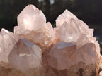 Natural Pale Lilac Spirit Amethyst Cluster with Cactus Flower Formations x 2 From Boekenhouthoek, South Africa - Toprock Gemstones and Minerals 