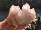 Natural Pale Lilac Spirit Amethyst Cluster with Cactus Flower Formations x 2 From Boekenhouthoek, South Africa - Toprock Gemstones and Minerals 