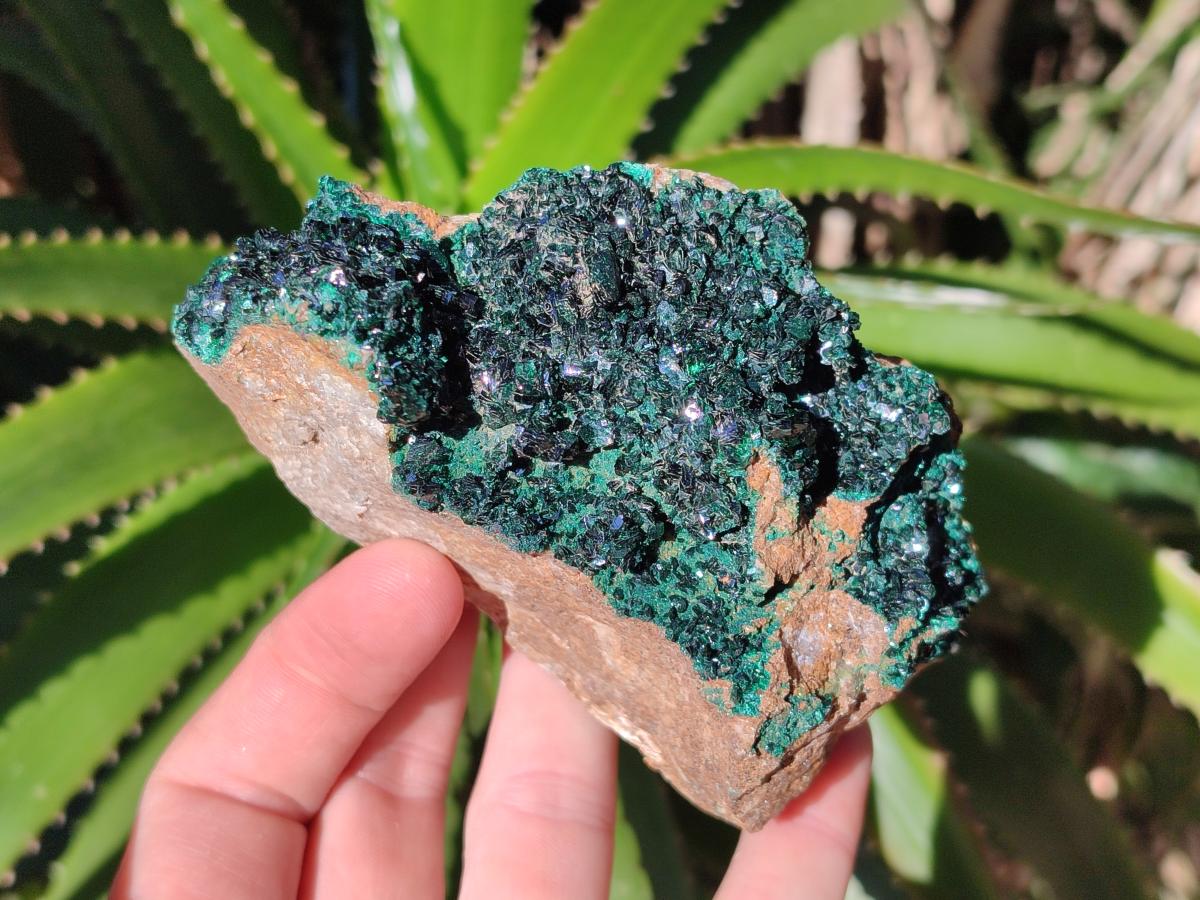 Natural  Cabinet Sized Crystalline Malachite Specimens x 4 From Tenke Fungurume, Congo - Toprock Gemstones and Minerals 