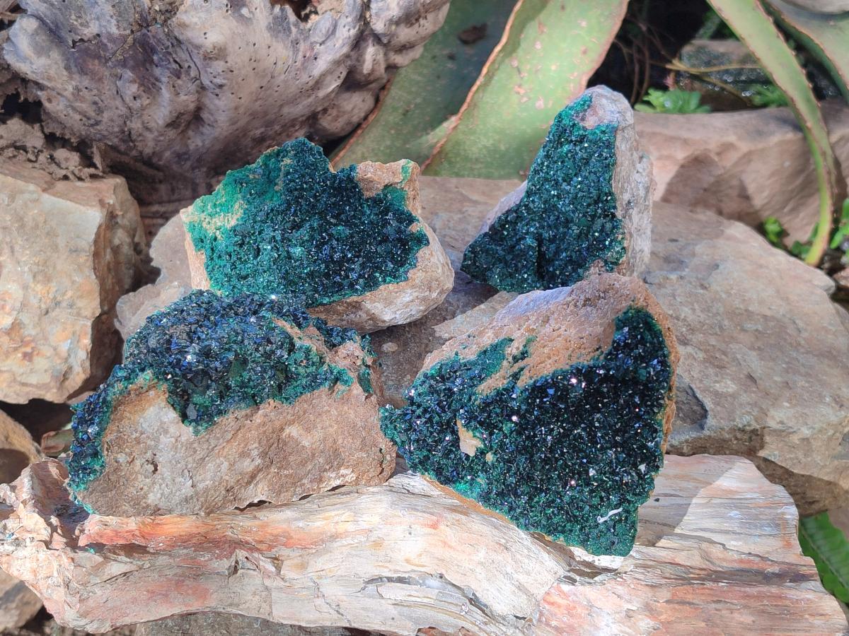 Natural  Cabinet Sized Crystalline Malachite Specimens x 4 From Tenke Fungurume, Congo - Toprock Gemstones and Minerals 