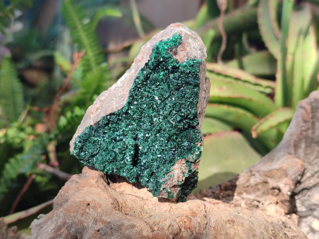 Natural  Cabinet Sized Crystalline Malachite Specimens x 4 From Tenke Fungurume, Congo - Toprock Gemstones and Minerals 