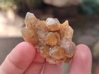 Natural Golden Limonite Quartz Crystal Clusters x 70 From Solwezi, Zambia - Toprock Gemstones and Minerals 