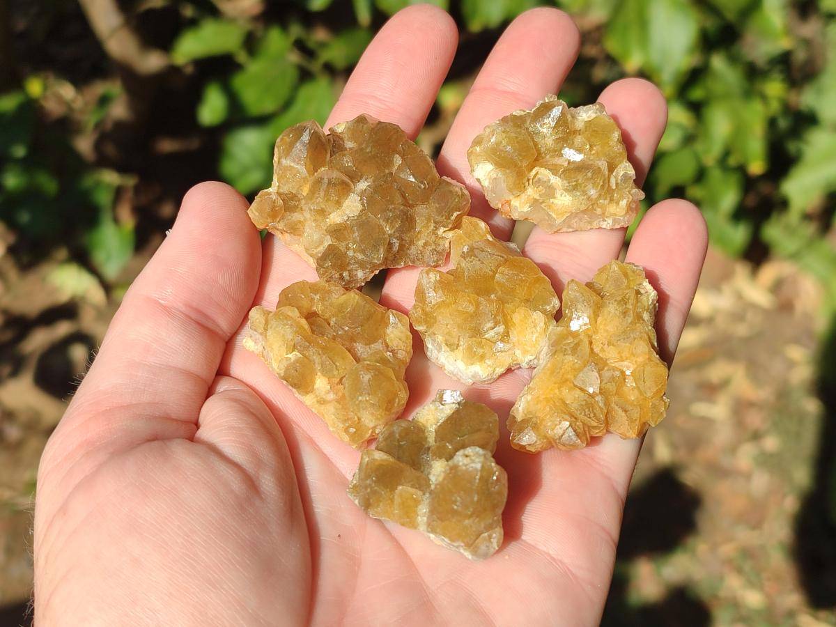 Natural Golden Limonite Quartz Crystal Clusters x 70 From Solwezi, Zambia - Toprock Gemstones and Minerals 