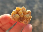 Natural Golden Limonite Quartz Crystal Clusters x 70 From Solwezi, Zambia - Toprock Gemstones and Minerals 