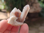 Natural Drusy Fairy Spirit Quartz Crystals x 70 From Boekenhouthoek, South Africa - Toprock Gemstones and Minerals 