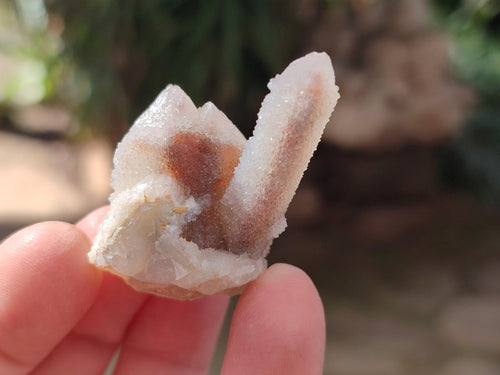 Natural Drusy Fairy Spirit Quartz Crystals x 70 From Boekenhouthoek, South Africa - Toprock Gemstones and Minerals 